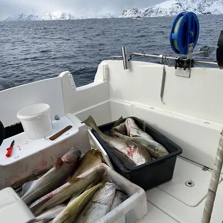 펜션 Rorbu I Lofoten