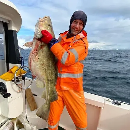Hébergement de vacances Rorbu I Lofoten *